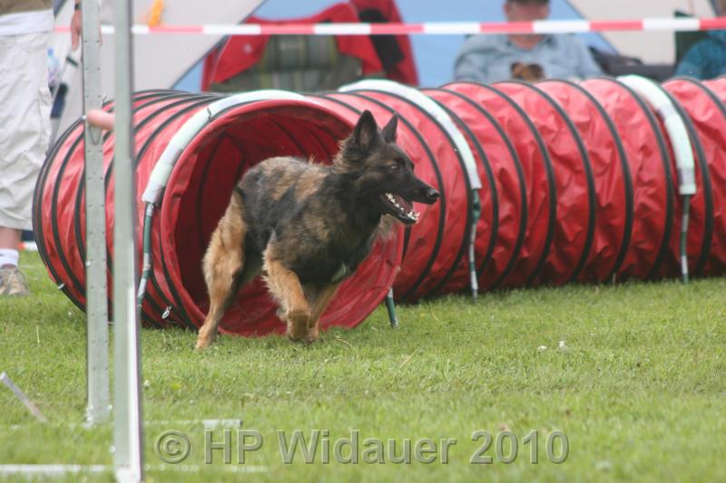 Haag2010 156.jpg